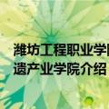 潍坊工程职业学院非遗产业学院（关于潍坊工程职业学院非遗产业学院介绍）