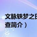 文脉轶梦之田野调查（关于文脉轶梦之田野调查简介）