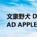 文豪野犬 DEAD APPLE（关于文豪野犬 DEAD APPLE简介）