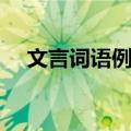 文言词语例释（关于文言词语例释简介）