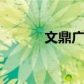 文鼎广场（关于文鼎广场简介）