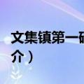 文集镇第一砖瓦厂（关于文集镇第一砖瓦厂简介）