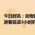 今日时讯：动物园回应老虎吃孔雀园区有千只 亚航为等外国游客延误3小时机场回应