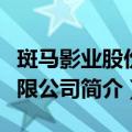 斑马影业股份有限公司（关于斑马影业股份有限公司简介）