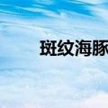 斑纹海豚属（关于斑纹海豚属简介）