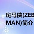 斑马侠(ZEBRAMAN)（关于斑马侠(ZEBRAMAN)简介）