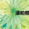 潘帕兽科（关于潘帕兽科介绍）