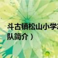 斗古镇松山小学志愿服务队（关于斗古镇松山小学志愿服务队简介）