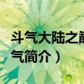 斗气大陆之巅峰斗气（关于斗气大陆之巅峰斗气简介）