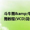 斗牛舞&牛仔舞教程(VCD)（关于斗牛舞&牛仔舞教程(VCD)简介）