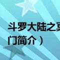 斗罗大陆之冥府之门（关于斗罗大陆之冥府之门简介）