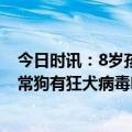 今日时讯：8岁孩子不幸身亡致死率百分之百家长别大意 正常狗有狂犬病毒吗