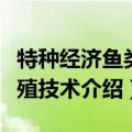 特种经济鱼类养殖技术（关于特种经济鱼类养殖技术介绍）