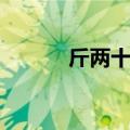 斤两十足（关于斤两十足简介）