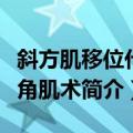 斜方肌移位代三角肌术（关于斜方肌移位代三角肌术简介）