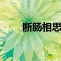 断肠相思泪（关于断肠相思泪简介）