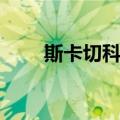 斯卡切科夫（关于斯卡切科夫简介）