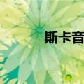 斯卡音乐（关于斯卡音乐简介）