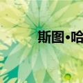 斯图·哈特（关于斯图·哈特简介）