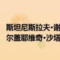 斯坦尼斯拉夫·谢尔盖耶维奇·沙塔林（关于斯坦尼斯拉夫·谢尔盖耶维奇·沙塔林简介）