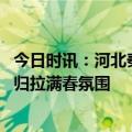 今日时讯：河北秦皇岛春回大地侯鸟北归 乌苏里江畔侯鸟北归拉满春氛围