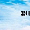 潜川镇（关于潜川镇介绍）