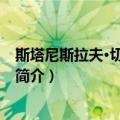 斯塔尼斯拉夫·切尔切索夫（关于斯塔尼斯拉夫·切尔切索夫简介）