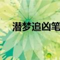 潜梦追凶笔记（关于潜梦追凶笔记介绍）