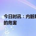 今日时讯：内脏脂肪堆积在肝脏的危害 内脏脂肪堆积在血管的危害