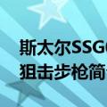 斯太尔SSG08狙击步枪（关于斯太尔SSG08狙击步枪简介）