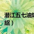 潜江五七油焖大虾（关于潜江五七油焖大虾介绍）