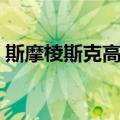 斯摩棱斯克高地（关于斯摩棱斯克高地简介）