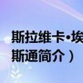 斯拉维卡·埃克莱斯通（关于斯拉维卡·埃克莱斯通简介）