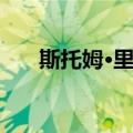 斯托姆·里德（关于斯托姆·里德简介）