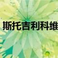 斯托吉利科维奇（关于斯托吉利科维奇简介）