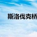 斯洛伐克桥党（关于斯洛伐克桥党简介）