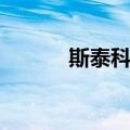 斯泰科斯（关于斯泰科斯简介）