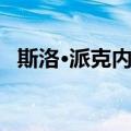 斯洛·派克内尔（关于斯洛·派克内尔简介）