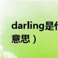 darling是什么意思中文（英语darling什么意思）