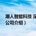 潮人智能科技 深圳有限公司（关于潮人智能科技 深圳有限公司介绍）