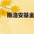 斯洛安基金会（关于斯洛安基金会简介）