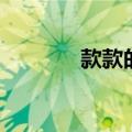 款款的意思（大家可以看看）