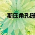 斯氏角孔珊瑚（关于斯氏角孔珊瑚简介）