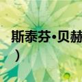 斯泰芬·贝赫韦恩（关于斯泰芬·贝赫韦恩简介）