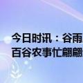 今日时讯：谷雨里藏着中华文明的密码 有闻画·谷雨丨雨生百谷农事忙翩翩纸鸢绘春光