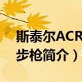 斯泰尔ACR突击步枪（关于斯泰尔ACR突击步枪简介）