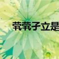 茕茕孑立是什么意思（茕茕孑立的意思）