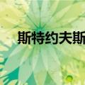 斯特约夫斯基（关于斯特约夫斯基简介）