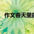 作文春天里的故事（怎么写春天里的故事）