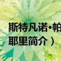 斯特凡诺·帕尔米耶里（关于斯特凡诺·帕尔米耶里简介）